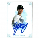 Andy Yerzy autograph